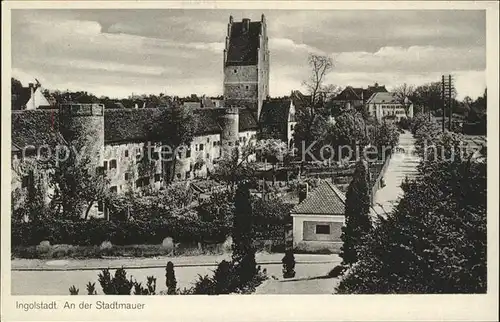 Ingolstadt Donau Stadtmauer Kat. Ingolstadt