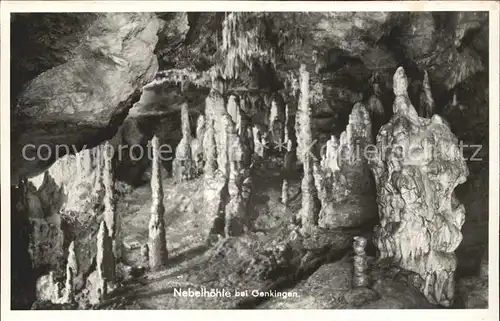 Genkingen Nebelhoehle Tropfsteinhoehle Kat. Sonnenbuehl