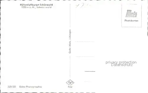 Schoenwald Schwarzwald Viehweide Kuehe Panorama Hoehenluftkurort Kat. Schoenwald im Schwarzwald