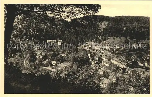 Triberg Schwarzwald Gesamtansicht Kat. Triberg im Schwarzwald