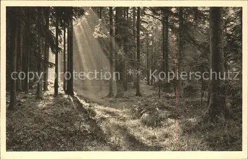 Koenigsfeld Schwarzwald Maerchenwald Luftkurort Kupfertiefdruck Kat. Koenigsfeld im Schwarzwald
