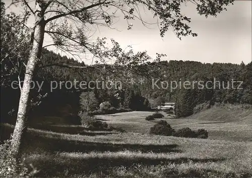 Bad Imnau Waldpartie beim Cafe Pension Waldblick Leipertal Kat. Haigerloch