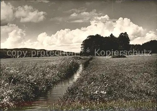 Wilhelmsdorf Wuerttemberg Im Ried Uferpartie am Bach Landschaft Kat. Wilhelmsdorf