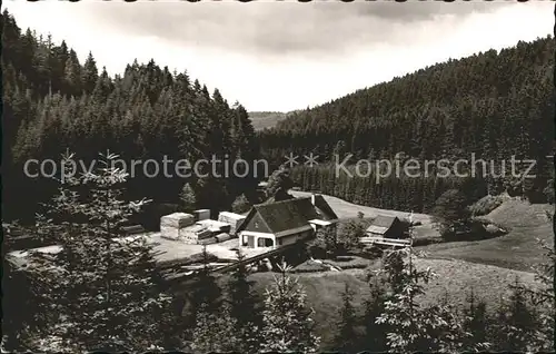 Woernersberg Kohlmuehle Hoehenluftkurort Schwarzwald Kat. Woernersberg