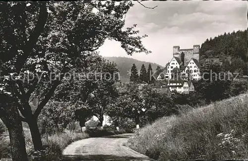 Berneck Altensteig Blick zur Burg Kat. Altensteig