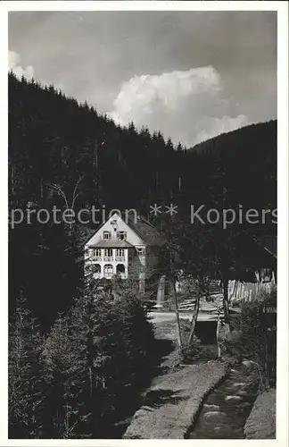 Altensteig Schwarzwald Voelmesmuehle Saegewerk Forellenzucht / Altensteig /Calw LKR