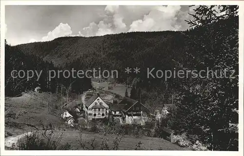 Altensteig Schwarzwald Voelmesmuehle Saegewerk Forellenzucht / Altensteig /Calw LKR