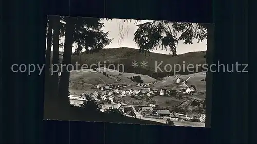 Roet Panorama Murgtal Schwarzwald Kat. Baiersbronn