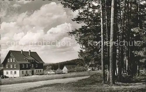 Hallwangen Pension Waldliesel Hoehenluftkurort Kat. Dornstetten