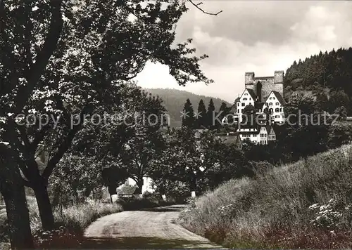 Berneck Altensteig Blick zur Burg Luftkurort Schwarzwald Kat. Altensteig