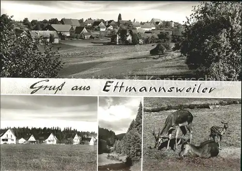 Ettmannsweiler Gesamtansicht Waldpartie Wild Reh Kitz Schwarzwald Kat. Simmersfeld