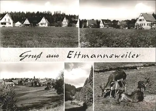 Ettmannsweiler Teilansichten Luftkurort Schwarzwald Waldpartie Reh Kitz Bromsilber Kat. Simmersfeld