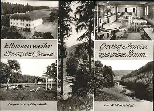 Ettmannsweiler Gasthof Pension Zum gruenen Baum Koellbachtal Luftkurort Schwarzwald Bromsilber Kat. Simmersfeld