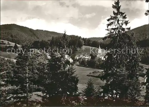 Schoenmuenzach Blick vom Waldrand Luftkurort Murgtal Schwarzwald Kat. Baiersbronn