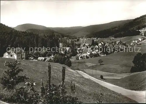 Buhlbach Obertal Panorama Sommer und Wintersportplatz Schwarzwald / Baiersbronn /Freudenstadt LKR