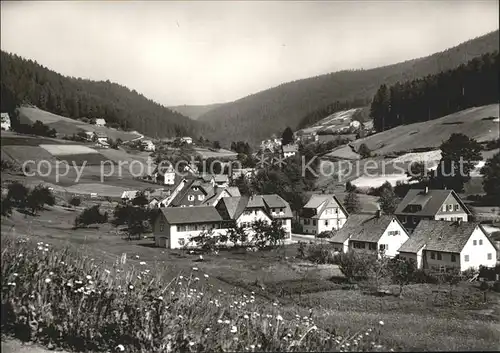 Tonbach Panorama Gasthof Pension zum Pflug Luftkurort Schwarzwald Kat. Baiersbronn