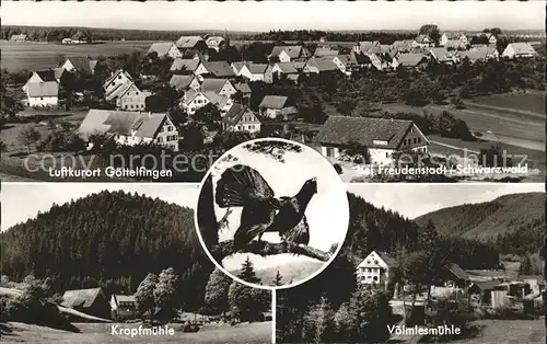 Goettelfingen Seewald Schwarzwald Gasthof Pension Traube Kropfmuehle Voelmlesmuehle Auerhahn Luftkurort Schwarzwald Bromsilber Kat. Seewald