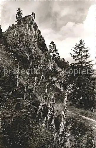 Gernsbach Rockertfelsen im Murgtal Kat. Gernsbach