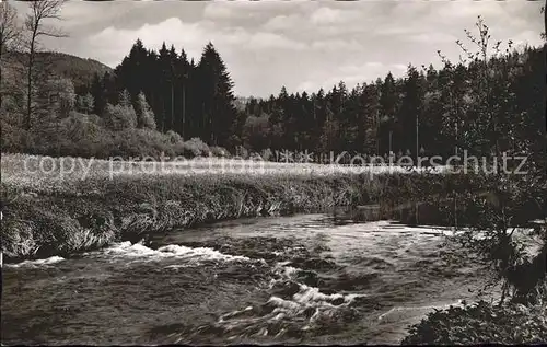 Wildberg Schwarzwald Haus Saron Partie am Fluss / Wildberg /Calw LKR