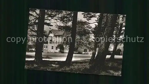 Hallwangen Gasthaus Pension gruener Baum Kat. Dornstetten