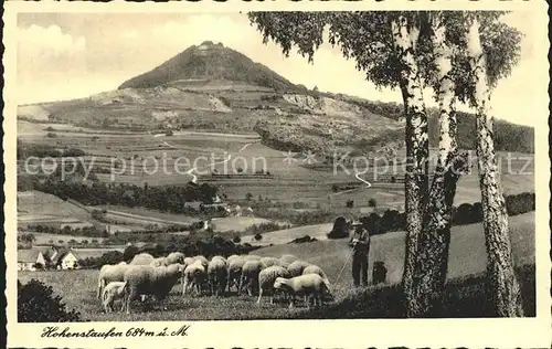 Hohenstaufen Schaefer Schafe Kat. Goeppingen