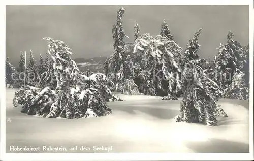 Ruhestein Hotel Kurhaus Wald im Schnee Kat. Baiersbronn