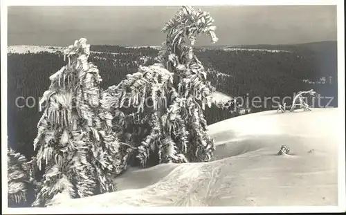 Ruhestein Hotel Kurhaus Wald im Schnee Kat. Baiersbronn