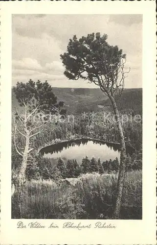 Ruhestein Wildsee Hotel Kurhaus Kat. Baiersbronn