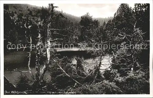 Ruhestein Hotel Kurhaus Wildsee Kat. Baiersbronn