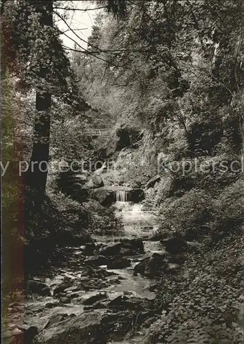 Wildberg Schwarzwald Luetzenschlucht / Wildberg /Calw LKR