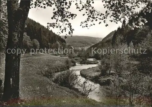 Wildberg Schwarzwald Nagoldtal / Wildberg /Calw LKR