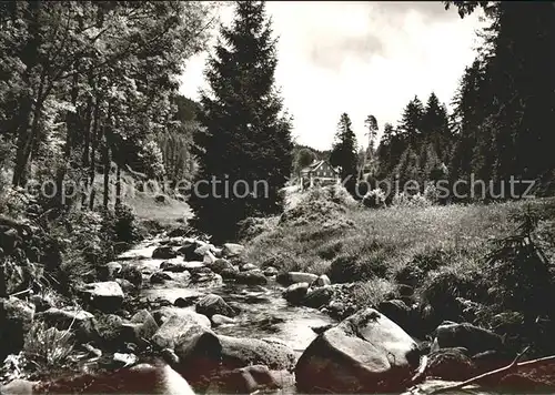 Hinterlangenbach Baiersbronn Forsthaus Auerhahn am Bach Kat. Baiersbronn