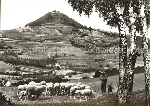 Hohenstaufen Schaefer Schafe Burg Kat. Goeppingen