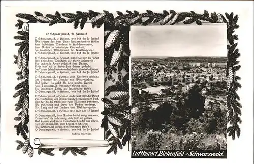 Birkenfeld Wuerttemberg Lied Schwarzwald O Heimat Tannenzapfen Kat. Birkenfeld