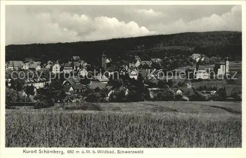 Schoemberg Schwarzwald Wildbad Kat. Schoemberg