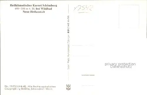 Schoemberg Schwarzwald Neue Heilanstalt Fliegeraufnahme Kat. Schoemberg