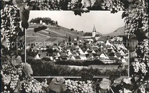 Weinsberg Trauben Weibertreu Kat. Weinsberg