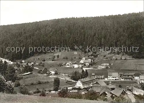 Gompelscheuer Gasthof zum Enzursprung Kat. Enzkloesterle