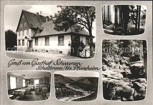 Schellbronn Gasthof zum Schwannen Ortsansicht Kat. Neuhausen