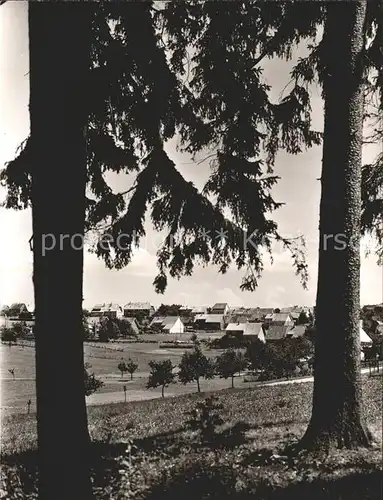 Dobel Schwarzwald Ortsansicht Kat. Dobel