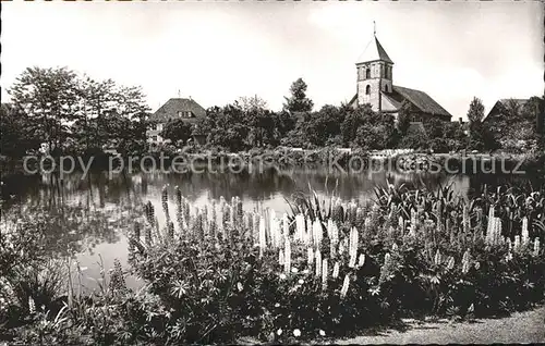 Achern Baden Hornisgrinde Stadtgarten Kat. Achern