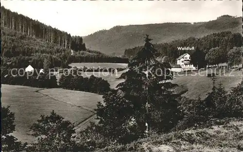 Enzkloesterle Gasthof Pension Waldluft Kat. Enzkloesterle