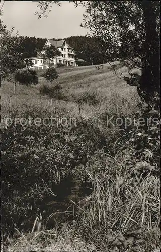 Lautenbach Gernsbach Gasthof Pension  Kat. Gernsbach