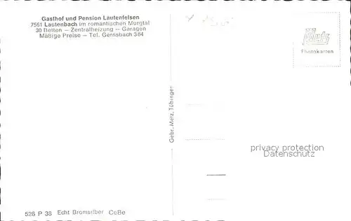 Lautenbach Gernsbach Gasthof Pension Lautenfelsen Tannenzapfen Kat. Gernsbach