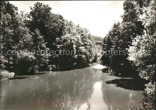 Oberachern Waldsee Kat. Achern