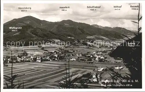 Bleibach Blick vom Voegelestein Schultidkopf Rosseck Hoellkopf Kat. Gutach im Breisgau