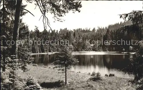 Herrenwies Waldsee Kat. Forbach