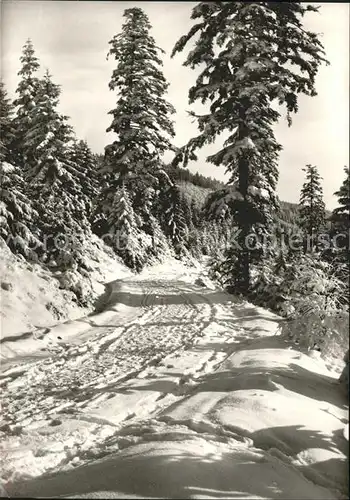 Unterstmatt Waldweg  Kat. Sasbach