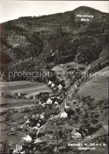 Bleibach Hoernleberg Kregelbach Kat. Gutach im Breisgau