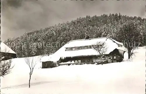 Lehen Todtmoos Pension Dreimaedelhaus  Kat. Todtmoos